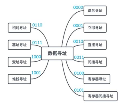 计算机组成与体系结构 体系结构分类与系统服务概述